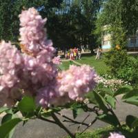 IMG_1196-05-06-19-11-04