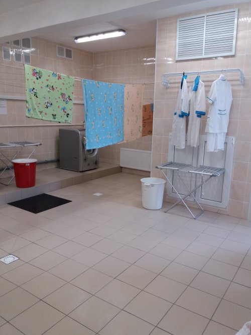 20170517 120057 500x667