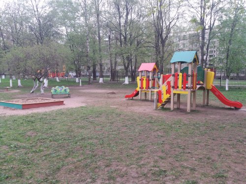 20170524 124647 500x375