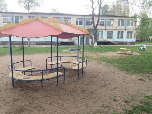 20170524 125043 500x375