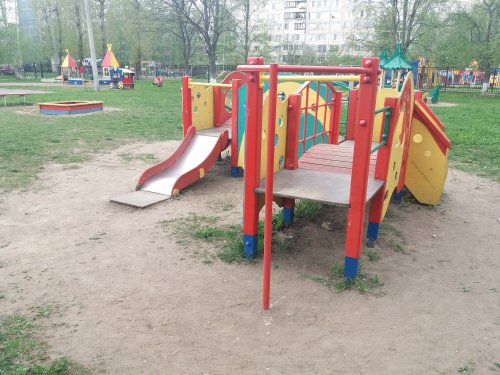 20170524 125110 500x375