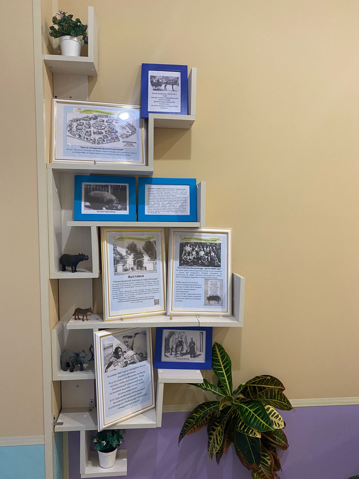 Фото выставка Ленинградский зоопарк общий вид